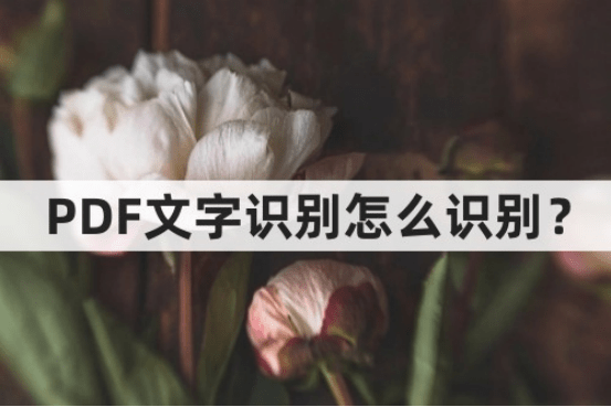 迅捷文字识别苹果版:PDF文字识别怎么识别？PDF文字识别保姆级教程