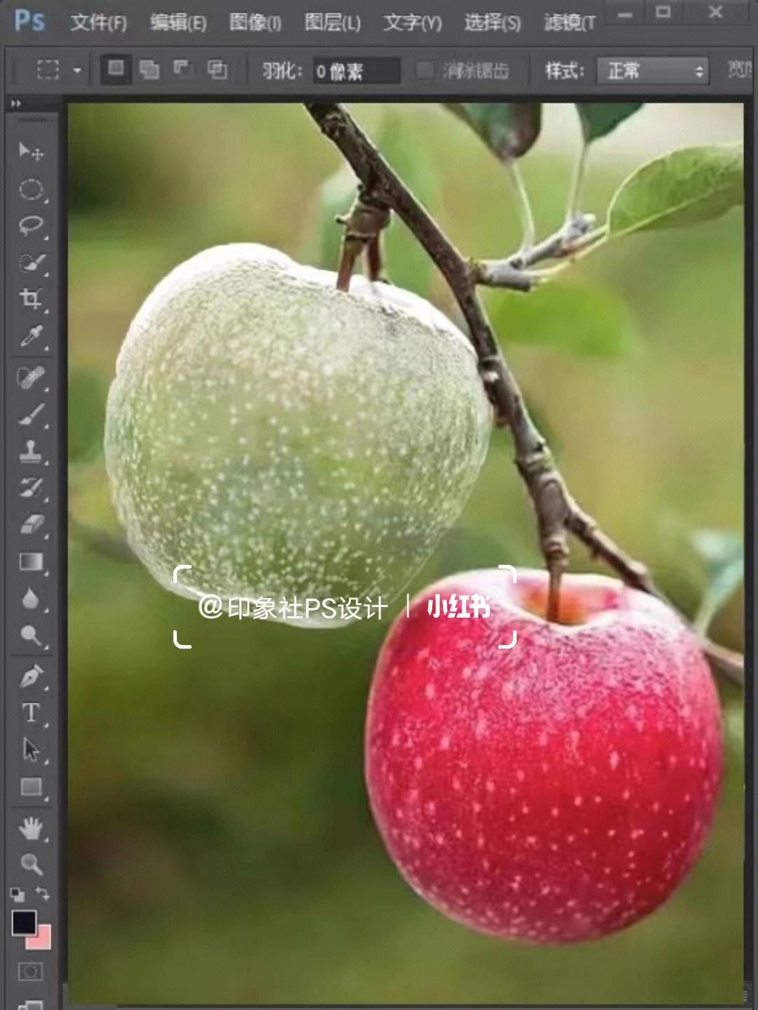 苹果版ps软件免费版photoshop苹果免费版