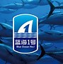 蓝海购客户端蓝海加速官网首页